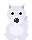 arctic wolf, adult