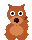 red wolf, adult
