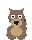 timber wolf, adolescent