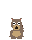 timber wolf, pup